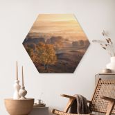 Hexagon Wandbild Birkenbäume im goldenen Morgentau - Cui - Alu-Dibond 