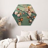 Hexagon Wandbild Frühlingserwachen - Alu-Dibond 