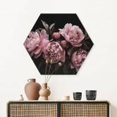 Hexagon Wandbild Pfingstrose rosé - Haase - Alu-Dibond 