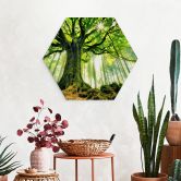 Hexagon Wandbild Märchenwald - Kiciak - Alu-Dibond  