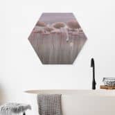 Hexagon Wandbild Lotusblumen mit Schwan im Wasser in Altrosa - Ms Tiff - Alu-Dibond 