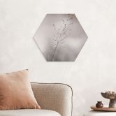 Hexagon Wandbild Grashalm mit Tautropfen - Sillen - Alu-Dibond 