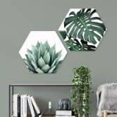 Hexagon - Alu-Dibond Sisi & Seb - Monstera 