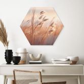 Hexagon Wandbild Dünengras in der Abendsonne - Treechild - Alu-Dibond 