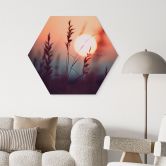 Hexagon Wandbild Gräser im Licht der glühenden Sonne - Treechild - Alu-Dibond 