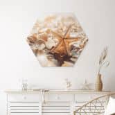 Hexagon Wandbild Muscheln am sonnigen Strand - Treechild - Alu-Dibond 