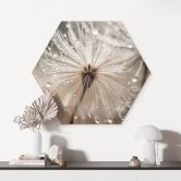 Hexagon Wandbild Pusteblume in Morgentau - Treechild - Alu-Dibond 