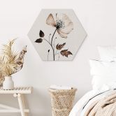 Hexagon Wandbild - Trockenblüte in Creme - Alu-Dibond - Treechild 