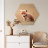 Hexagon - Alu-Dibond van Duijn - Baby Fuchs 