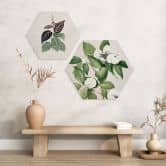 Hexagon Wandbild Botanik Illustration einer Scheinkamelie - Walcott - Alu-Dibond 