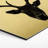 Hexagon - Alu-Dibond-Goldeffekt - Ireland - The Black Deer 