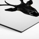 Hexagon - Alu-Dibond Ireland - The Black Deer 