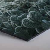 Hexagon alu-dibond - Cactussen 