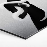 Hexagon - Alu-Dibond-Silbereffekt Ireland - Only Skin 
