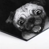 Hexagon - Alu-Dibond Graves - Snuggle Pug 