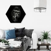Hexagon - Alu-Dibond Meermann - Der Gorilla 