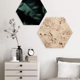 Hexagon - Holz 1X Studio - Aster Apricot 