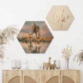 Hexagon Holzbild Reflexion einer Giraffe in der Wildnis - Amtmann 