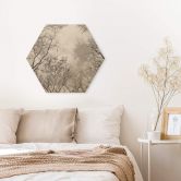 Hexagon - Holz Baumkronen im Himmel 