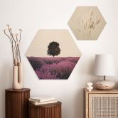 Hexagon Holzbild Lila Lavendelfelder bei Sonnenuntergang - Cevik 