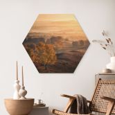 Tableau sur bois Hexagon Bouleaux dans la rosée dorée du matin - Cui 