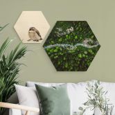 Hexagon - Holz Murko - Mutter Natur 