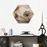 Hexagon Holzbild Boho Trockenblume Makro - Treechild 