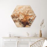 Hexagon Holzbild Muscheln am sonnigen Strand - Treechild 