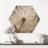 Hexagon Holzbild Pusteblume in Morgentau - Treechild 