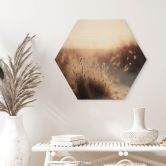 Hexagon Hout Treechild - Zonsondergang in de Duinen 