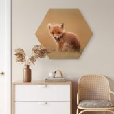 Hexagon - Holz van Duijn - Baby Fuchs 
