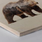 Hexagon - Holz Birke-Furnier - Beáta - Der Bär 