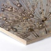 Hexagon Berkenfineer Delgado - Waterdrop Dandelion 