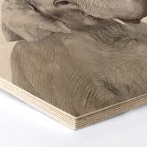 Hexagon - Holz Birke-Furnier Sisi & Seb - Baby Elefant 