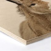 Hexagon - Holz Birke-Furnier Sisi & Seb - Baby Esel 