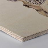 Hexagon - Holz Birke-Furnier - Kvilis - Boho Skull 