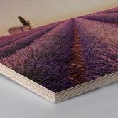 Hexagon - Holz Birke-Furnier - Lavendula 