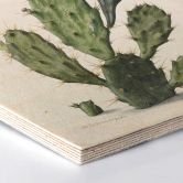 Hexagon Hout Saftleven - Cactus 