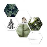 Hexagon - Alu-Dibond - Natürliche Vielfalt (6-teilig) 