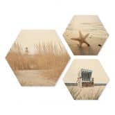 Hexagon Holzbild Strandkorb, Seestern und Dünen an der Ostsee Set (3-teilig) 
