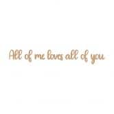 MDF Decoratie naturel All of me Loves all of You 