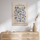 Tableau sur bois Collage graphique de coquillages - Jolly and Dash 