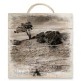 Holzbild Landschaft auf Hiddensee - 40x41,5 cm 