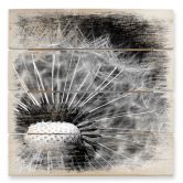 Holzbild Dandelion - 40x41,5 cm 
