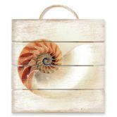 Holzbild Nautilus - 40x41,5 cm 