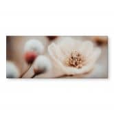Blumen Küchenrückwand Boho Blüte Soft Beige - Treechild 