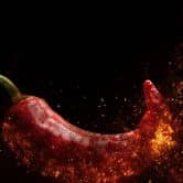 Küchenrückwand - Alu-Dibond - Chili on Fire 