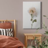 Leinwandbild Annie - Die Rose 