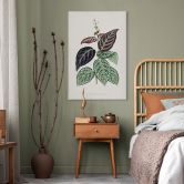 Leinwandbild Blatt Illustration - Bignonia Argyro Violascea 