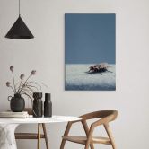 Leinwandbild Brown - Hausfliege auf Blau 
